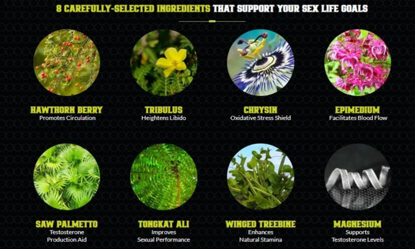 ErecPrime Ingredients